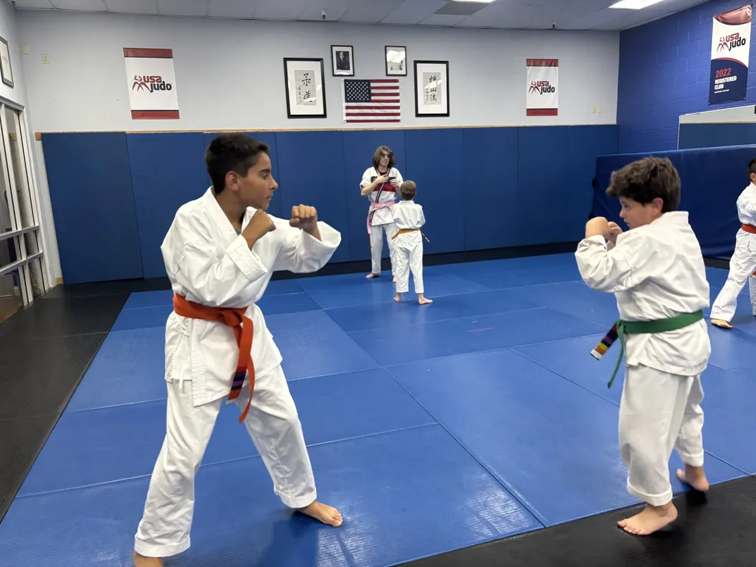 White Belts / Turtle Martial Arts (Ages 8-13)